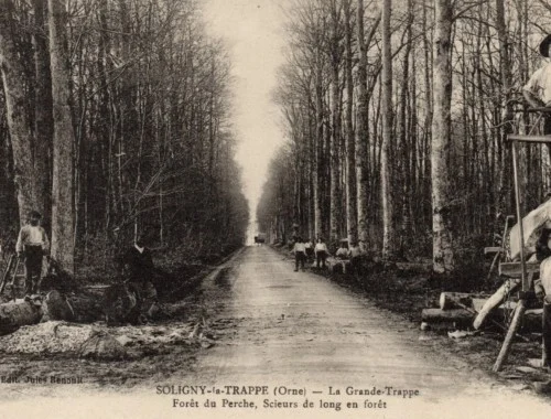 Un marchand de bois…